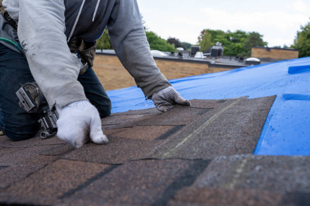 Fast & Reliable Emergency Roof Repairs in Annandale, VA