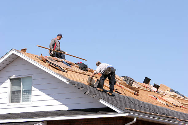 Best Solar Panel Roofing Installation  in Annandale, VA